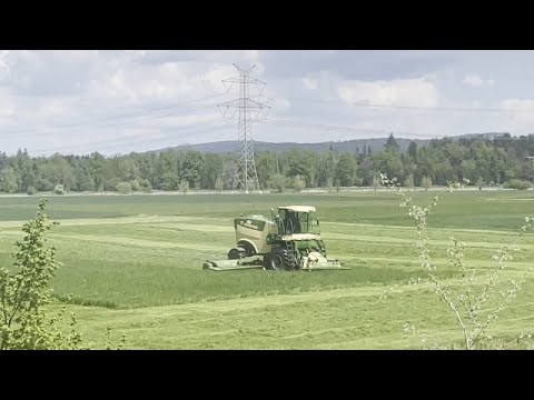 KRONE BigM 450 - 1. Schnitt 2025 mähen