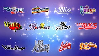 Gruperas Cumbias Romanticas - Bronco, Liberación, Temerarios, Acosta, Bryndis, Ladrón,Mandingo y más