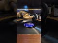 I'll Never Let You Cry -Teddy Grace  Decca Records #1602
