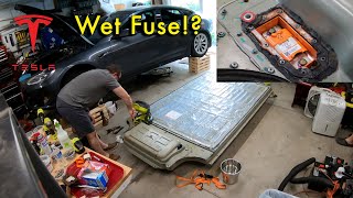 WET FUSE!?! | 2013 Tesla Model S Repair