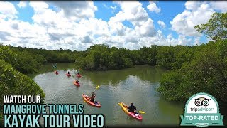 Kayak Tours & Rentals 2025 | Paddle Marco in Marco Island, Florida
