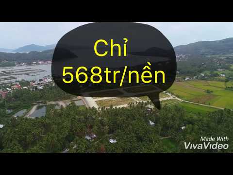 Lộc vàng trên đất Phú Yên: Ra mắt dự án đất biển Vịnh Xuân Đài đẹp hút hồn