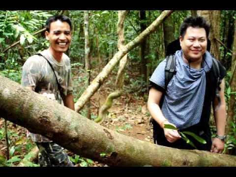 ความกดดันและความอ่อนแอ ขลิบชายเพิ่มสมาชิก