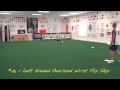101 Plus Frisbee Throws For Your Dog