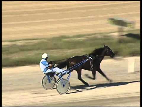 Trotto 09/09/2014 - 2° prova di riqualifica