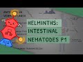 Helminths Intestinal Nematodes Part 1 Features Clinical Importance Diagnosis Treatment