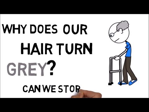 Why Does Your Hair Turn Grey ?