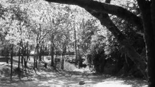 Cancerslug - Dead Children's Playground