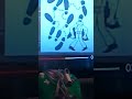 Mess O' blues confirmed