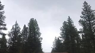 Summer time Ryan Mcnulty