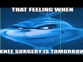 The Grinch Knee Surgery Meme Song Audio Original Meme Template