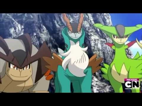 The Equestrian King - Part 1: The Circle of Life