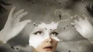 Pooh Nel cuore e nell anima