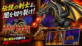 (コメ付き) ゆっくりブラックドラゴン レトロゲーム アーケード AC版 プレイ動画 【ゆっくり実況】