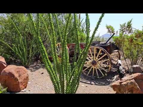 Longhorn Motel & RV Park