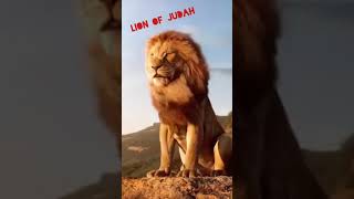 Download lagu The Lion of Judah 🔥🔥🔥..Neere pothum..song by Bro Gersson Edinbaro..#revival#revival igniters mp3