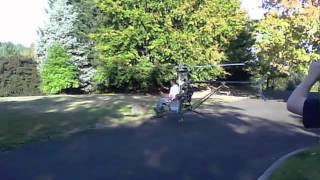 Robert taming the beast