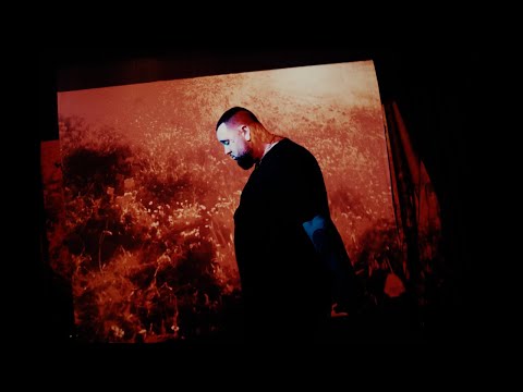 Blake Yung - Wildflower feat. Mod Sun [Official Video]