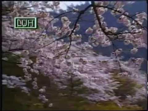 Anang Ngemuan Ati Chemuru