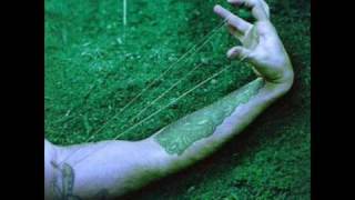 Jerry Cantrell - Gone