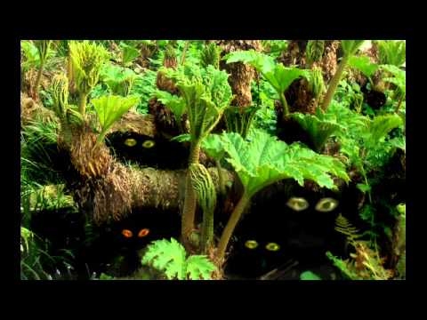 Chen Chien-an   -    Vocabulary by Denny