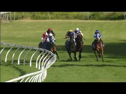 Sir Barnabus - Gold Coast Race 6