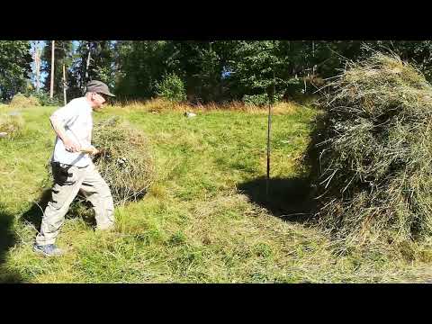 Höskörd som förr i tiden Del 5 Slå på höet