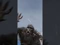 We Found BIGFOOT Shorts Bigfoot