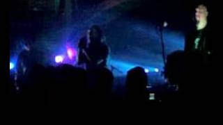 Suburban Tribe - Colour of Silence (live)