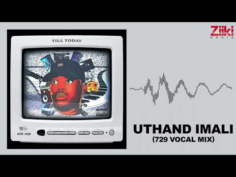 Dzo 729 - Uthand iMali ft. MalumNator (Audio Visualizer)