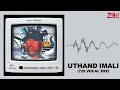 Dzo 729 - Uthand iMali ft. MalumNator (Audio Visualizer)