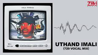 Download lagu Dzo 729 - Uthand iMali ft. MalumNator (Audio Visualizer) mp3 Download lagu Dzo 729 - Uthand iMali ft. MalumNator (Audio Visualizer) mp3