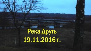 Когда можно ловить щуку в могилевской области