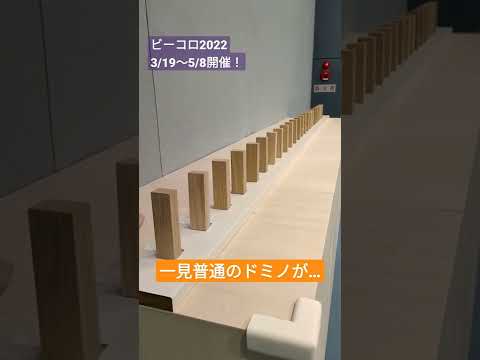 自撮りドミノ:博物館に20万ドルの損害