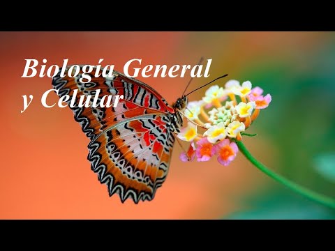 , title : 'Unidad 11- Biología General y Celular'