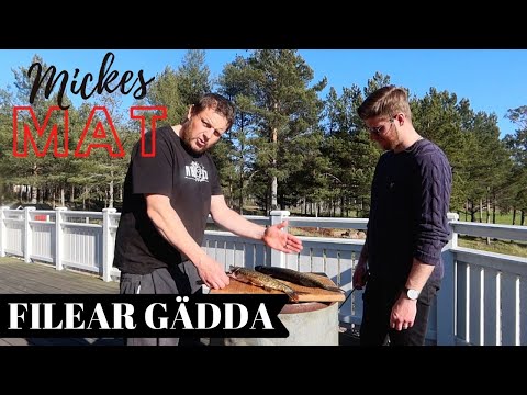 Lär en nybörjare att rensa och filea en gädda - STEG FÖR STEG!