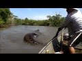 MAN GRABS GIANT SNAKE FROM THE WATER ...