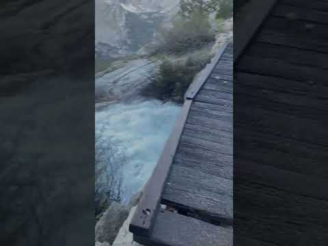 Another AMAZING Morning On Trail