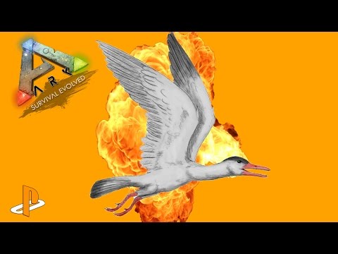 Ichthyornis Review: THE PIGEON ARK DESERVED