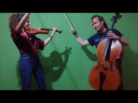 Laura violin violino classico ed elettrico Cisterna di Latina Musiqua