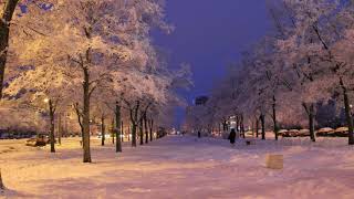Зимний пейзаж фото. Пушистый снег на ветках деревьев. фото