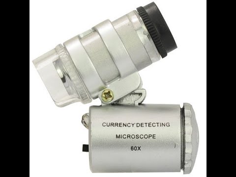 【極美品】小動物の内視鏡学 0.jpg