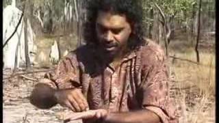 David Hudson - Australia's 'Cultural Journeyman'