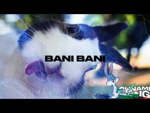 Cunami - Bani Bani