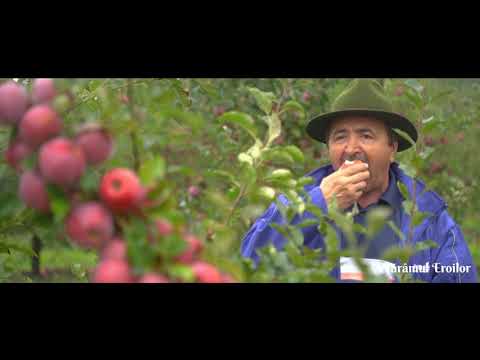 Tărâmul Eroilor - Episodul 9: Ioan Popa, Boz, județul Alba