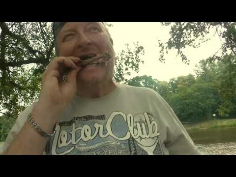 Petra Bařtipánová - Petra Bařtipánová   Posedlost