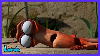 Larva - Lutador Contra o Vento! | Desenhos Infantis | WildBrain Crianças
