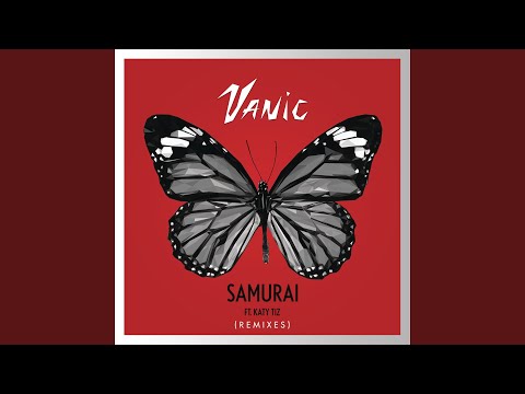 Samurai (pluko Remix)