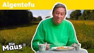 Wie wird Tofu hergestellt? | Die Maus | WDR