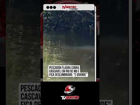 Encontro impressionante: Cascavel gigante é flagrada nadando em rio de Minas Gerais 🐍🚤